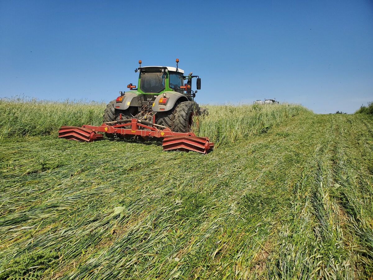 Regenerative farmland