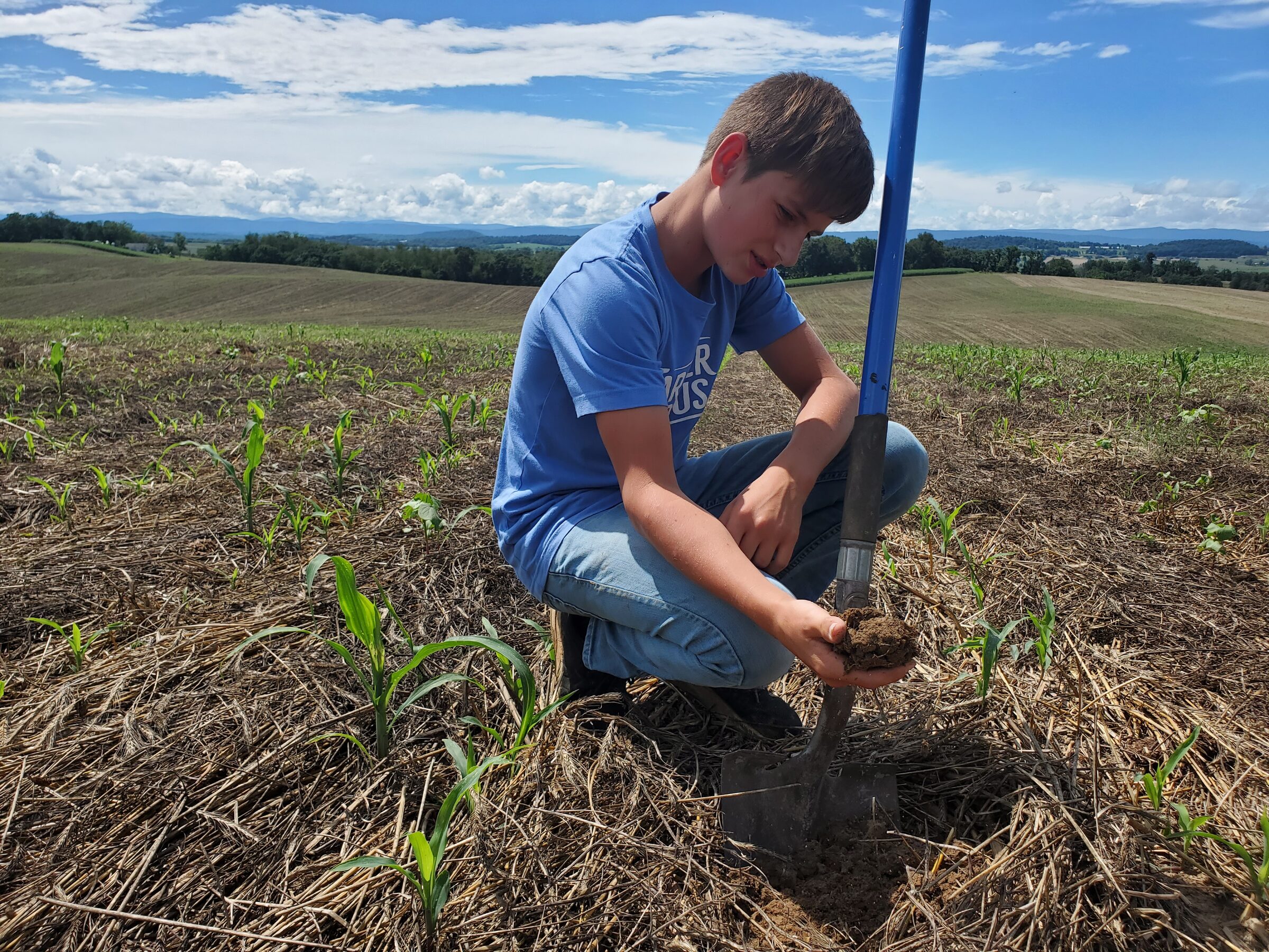 Healthy soil ecosystem